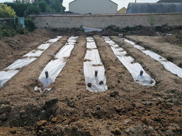 WhatsApp Image 2026 01 19 at 08.43.26