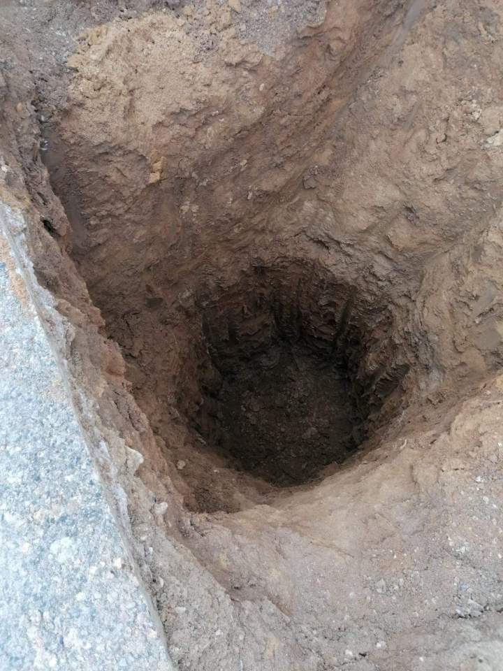 WhatsApp Image 2026 01 19 at 09.15.04